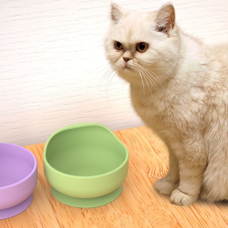 Silicone Suction Bowl - Bols pour animaux de compagnie en