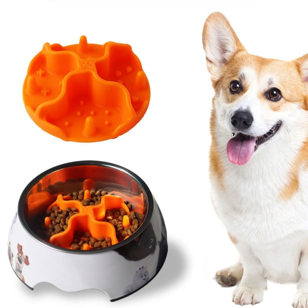 Nouveau Insert d'alimentation  - Silicone Suction Bowl avis et prix