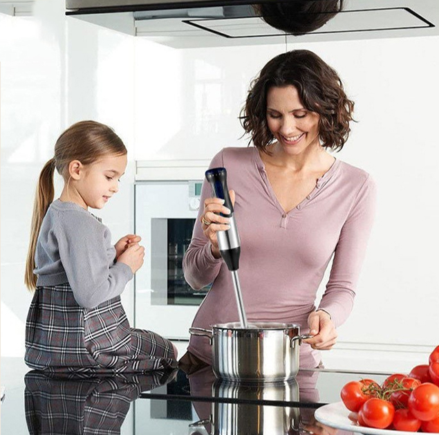 Nouvel ensemble de mixeur port - Baby Food Hand Blender avis et prix
